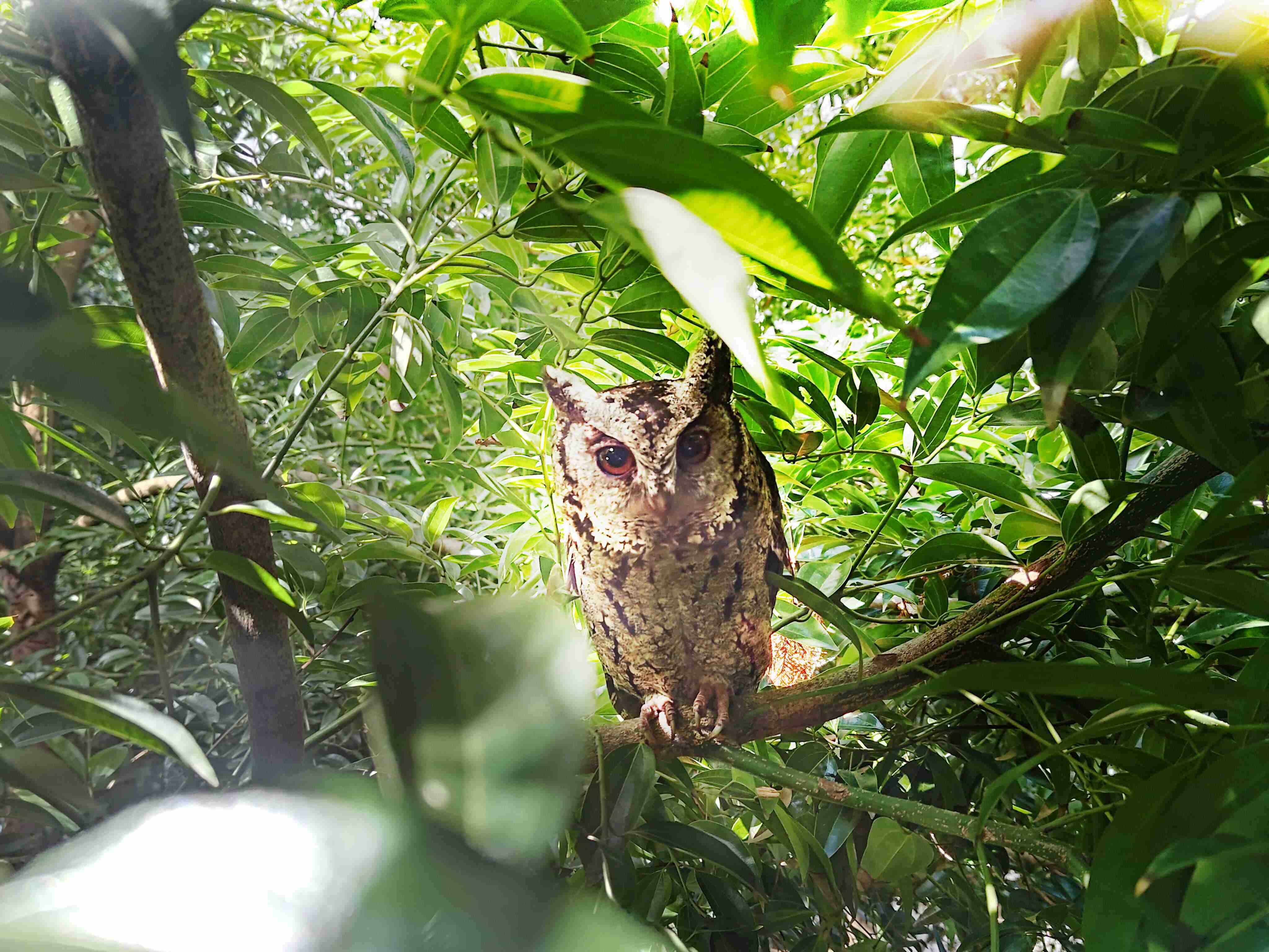牛牛游戏致力提倡净零绿生活，，16年以来在全球各厂区植树逾百万棵，，，造就各厂区树木蔚然成林，，，犹如森林工厂，，，成为许多生物的栖息地